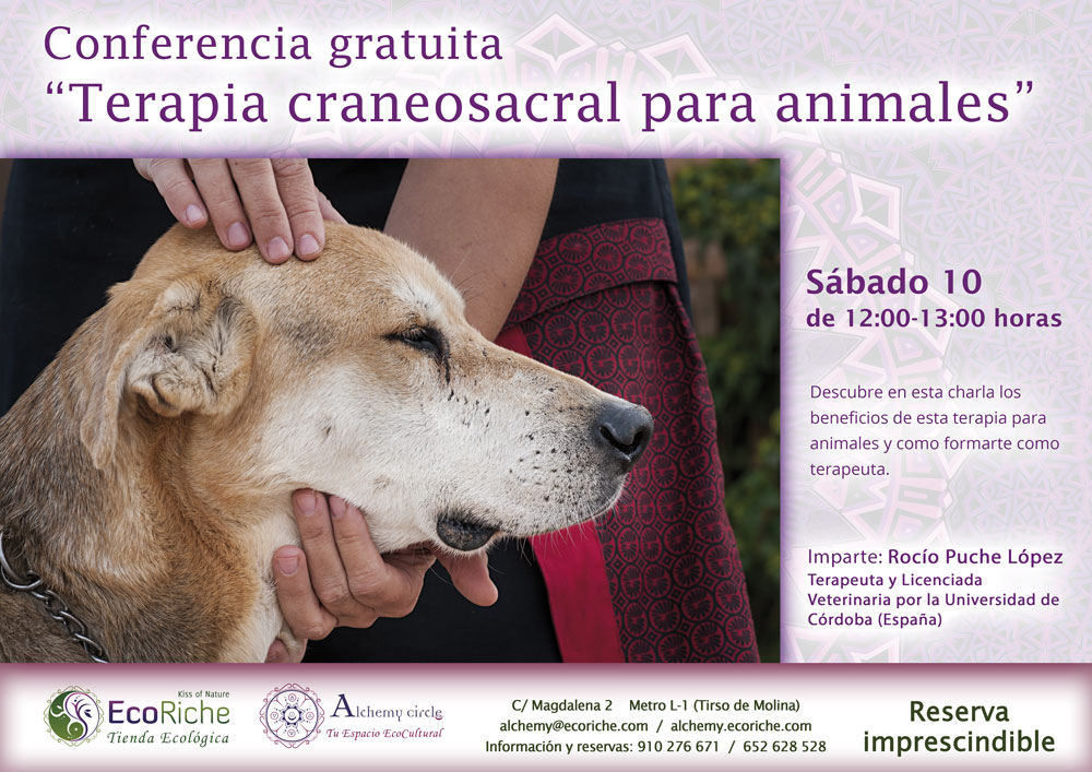 Conferencia gratuita: «Terapia Craneosacral para animales»